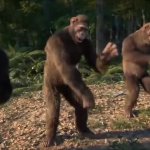 Dancing monkeys
