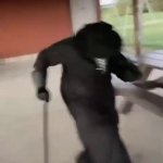 Plague Doctor Gangsta's Paradise