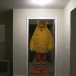 Big bird kicks down a door