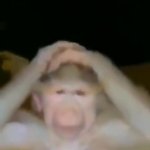 Confused Monkey
