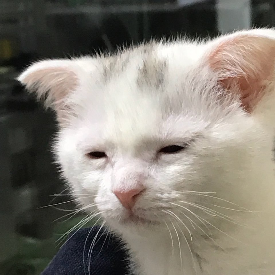 I'm awake, but at what cost?