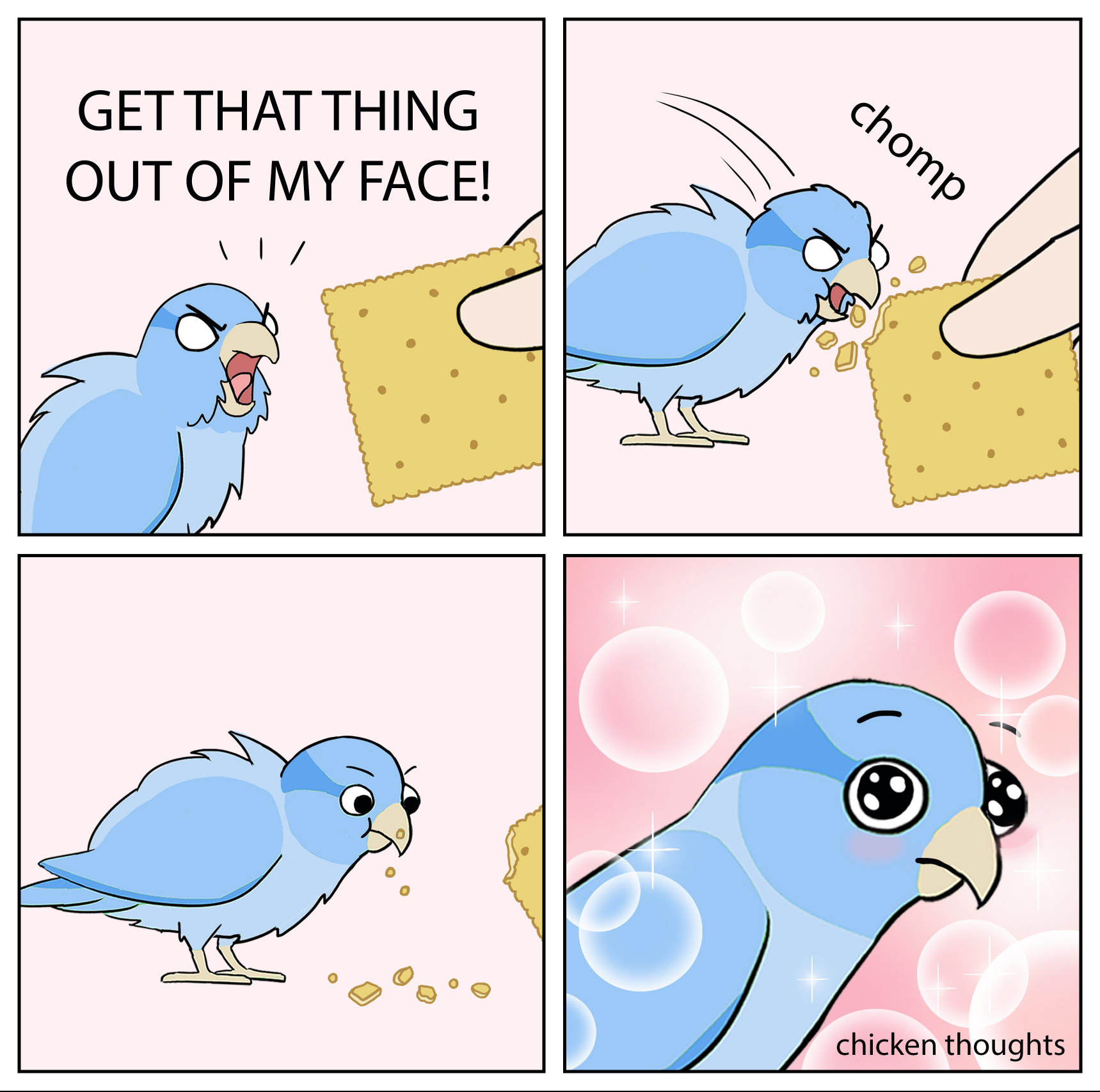 Bird Cracker
