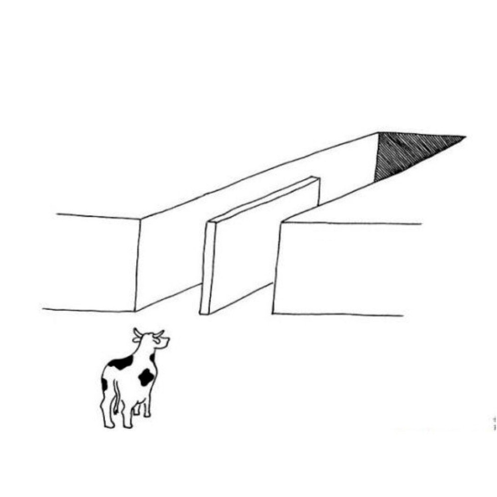 The illusion of free choice blank