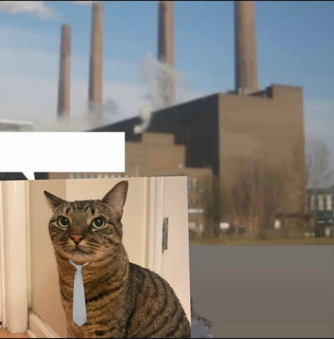Long day factory